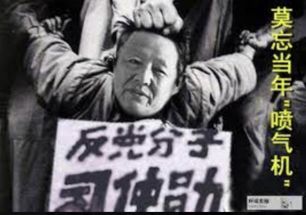 何平 斩首习近平 tweet media