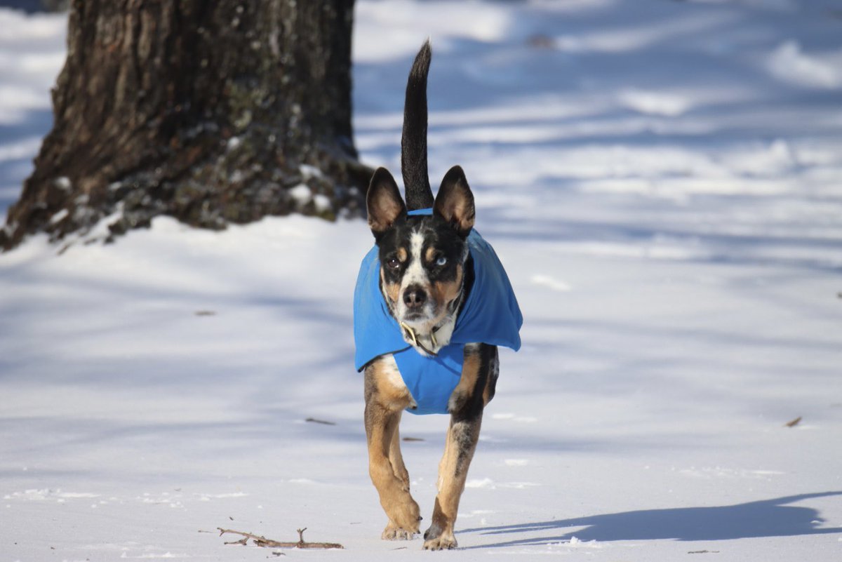 BurlesonFarm's tweet photo. Busy week on the farm keeping everyone warm and safe. https://t.co/omhHHivHaI