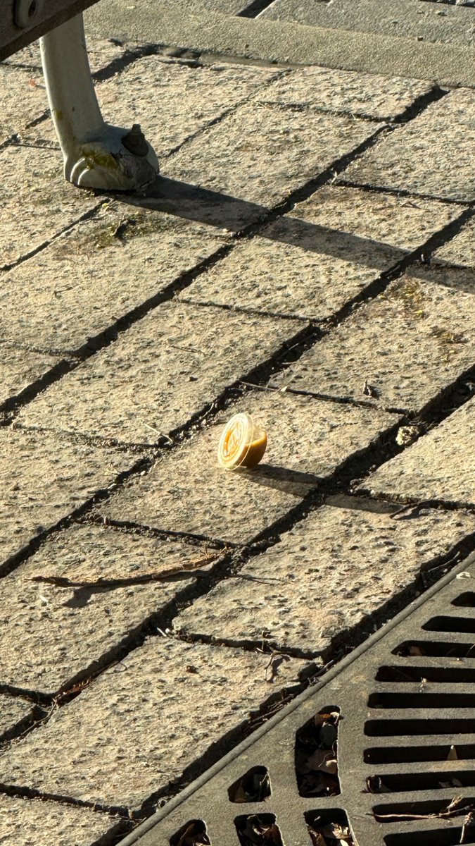 2002tacomasr5's tweet image. Just started crying at work because the beautiful shining thing I saw from the window turned out to be a fucking salsa as soon as I stepped one foot to the right. I thought it was a treasure