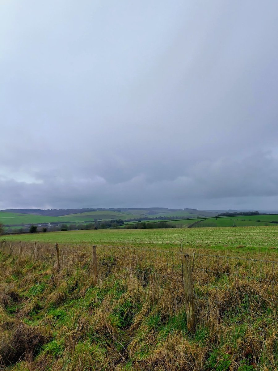 LadyGrace27's tweet image. Where the path is muddy and the mind feels clear...🌿
#sundayvibes #walks #walkies #countryside 
#nature #NatureBeauty