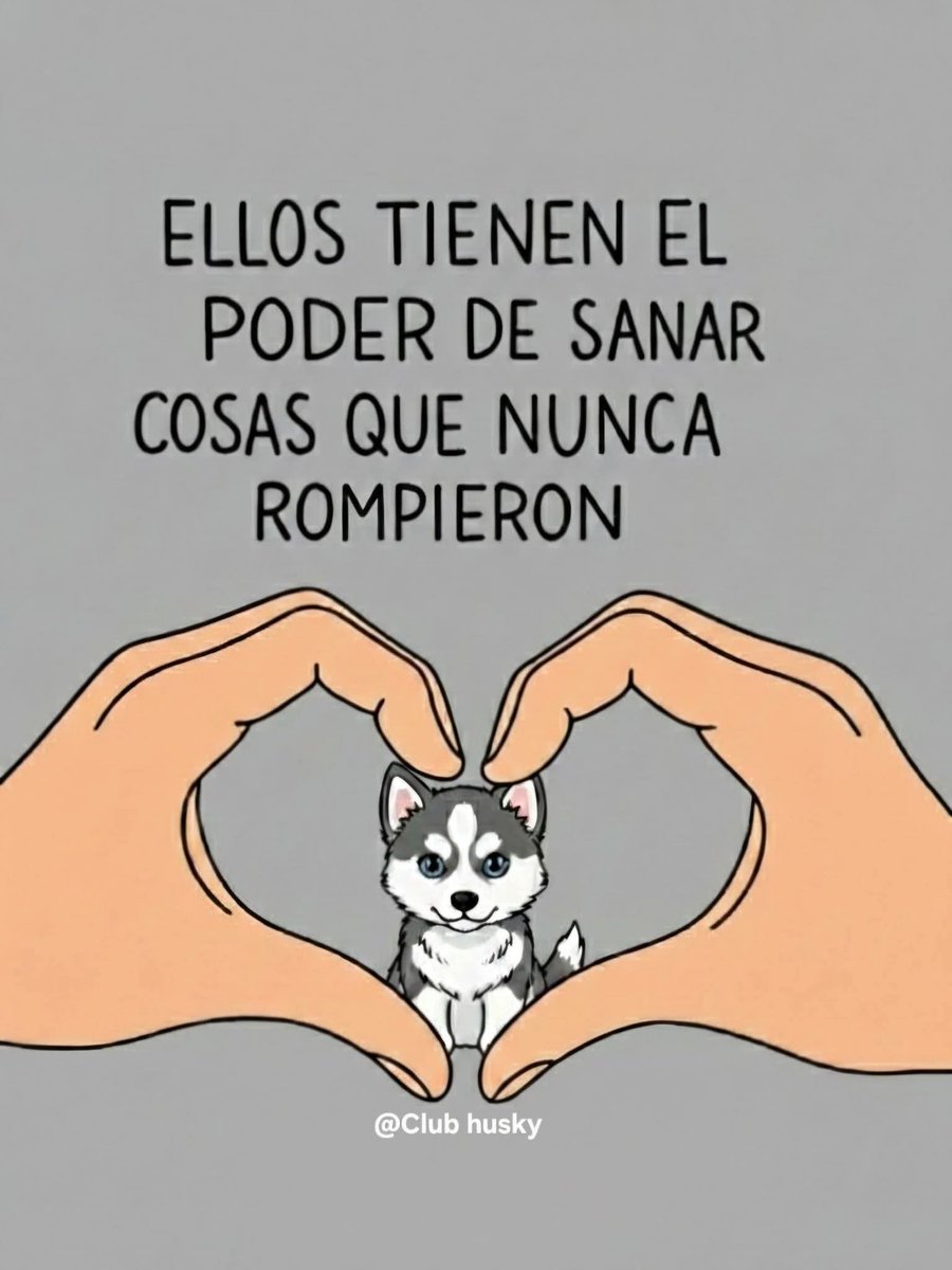 VIBRAmascotas's tweet photo. Nuestro deber mínimo , es protegerlos https://t.co/guClmWx7tU