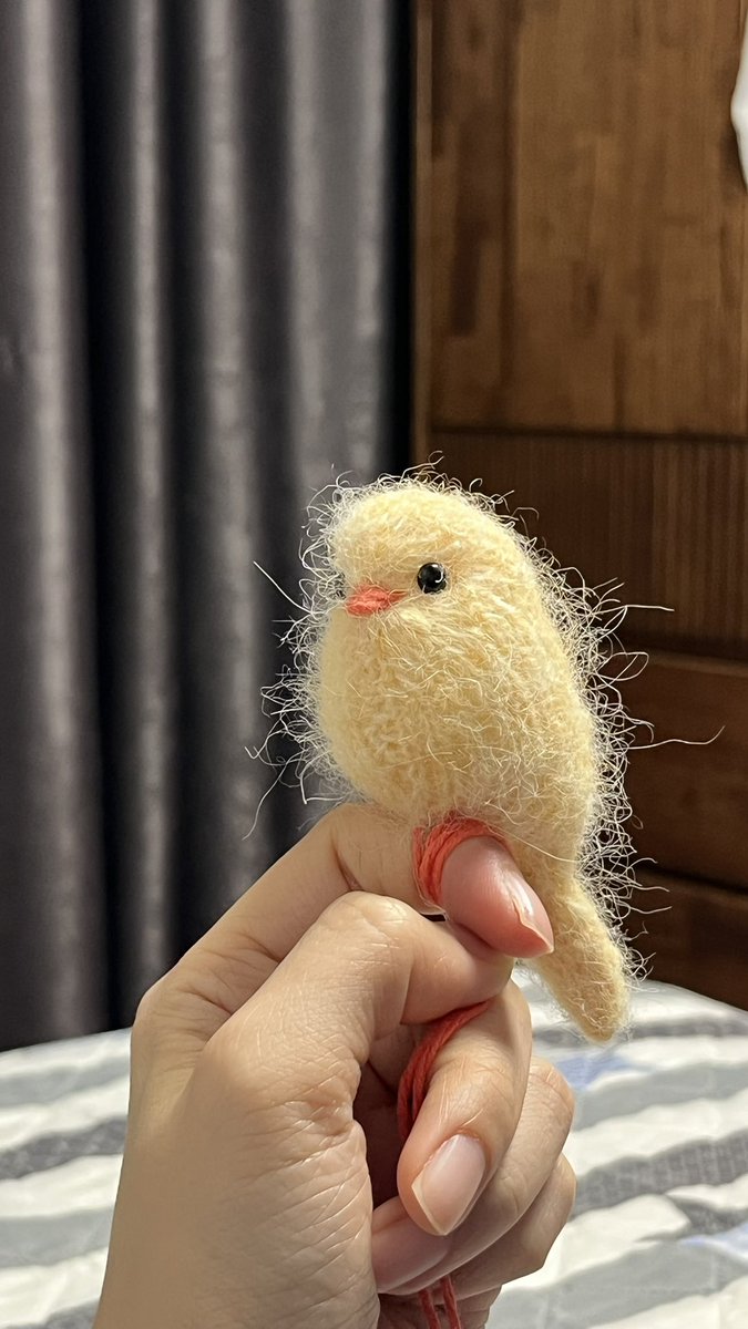 tomatoduckk's tweet photo. 뽀실뽀실 아기새야 https://t.co/rHYqJVBksb