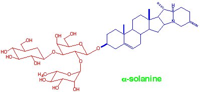 nanoprofe's tweet photo. Papas tóxicas:
En el rincón más oscuro de la alacena de Doña Marta, una humilde papa había quedado olvidada, expuesta a un pequeño rayo de sol que se filtraba por la ventana. Bajo esa luz, el tubérculo comenzó un proceso silencioso y fascinante: su piel se tornó de un color verde esmeralda.Para un ojo desprevenido, ese verde podría parecer señal de frescura, como si la papa quisiera volver a ser planta. Pero en el mundo de la química orgánica, ese color es una señal de peligro.

El Centinela Amargo
El verde en las plantas fotosintericas es, por lo regular , simplemente clorofila, una sustancia inofensiva en sí misma. Sin embargo, su aparición indica que la papa ha estado expuesta a la luz y al calor, condiciones que disparan la producción de un arma química de defensa: la solanina. La alfa-solanina es un glicoalcaloide esteroidal natural C45H73NO15 presente en solanáceas, consistente en una aglicona esteroidal, la solanidina, unida a una cadena trisacárida (solatriosa: D-glucosa, D-galactosa y L-ramnosa). La planta la produce para defenderse de insectos, hongos y animales hambrientos. Es, esencialmente, el pesticida natural de la papa. 

La Trampa en el Plato
Esa noche, el nieto de Doña Marta, un joven estudiante de química, la vio a punto de pelar la "papa verde" para el puré.—¡Espera, abuela! —exclamó—. Ese color no es para adornar. Donde hay clorofila en una papa, hay una alta concentración de solanina.Le explicó que la solanina no se destruye con el calor de la cocción (fritura o hervor). Si la consumieran, el amargor característico sería lo de menos; podrían enfrentarse a una noche de náuseas, dolor abdominal y, en casos severos, problemas neurológicos debido a la inhibición de la enzima acetilcolinesterasa.

Moraleja Química
Doña Marta, siempre práctica, decidió que no valía la pena el riesgo. Peló la papa profundamente, eliminando todo rastro verde (donde se concentra el 30-80% de la toxina), aunque lo ideal, como recordó su nieto, es descartar los tubérculos que estén mayoritariamente verdes o con brotes muy largos.
Desde entonces, en esa cocina se sabe que el verde es vida en las hojas, pero puede representar una advertencia de peligro en las papas.