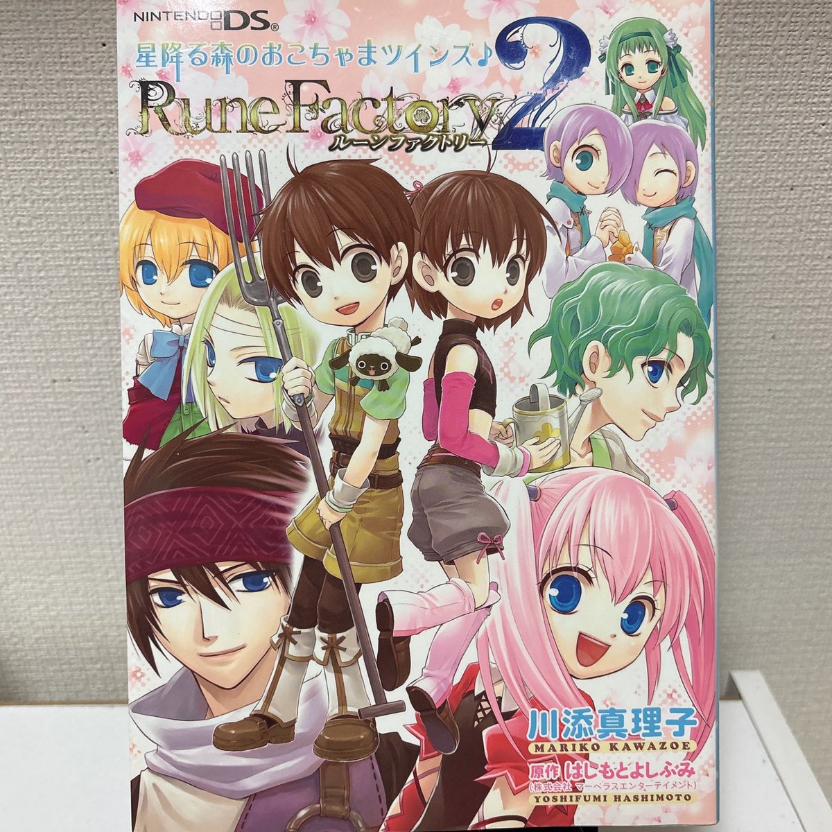 ずっと探してた本やっと手に入った😳✨️ 出回りがほんっとなくて…嬉し