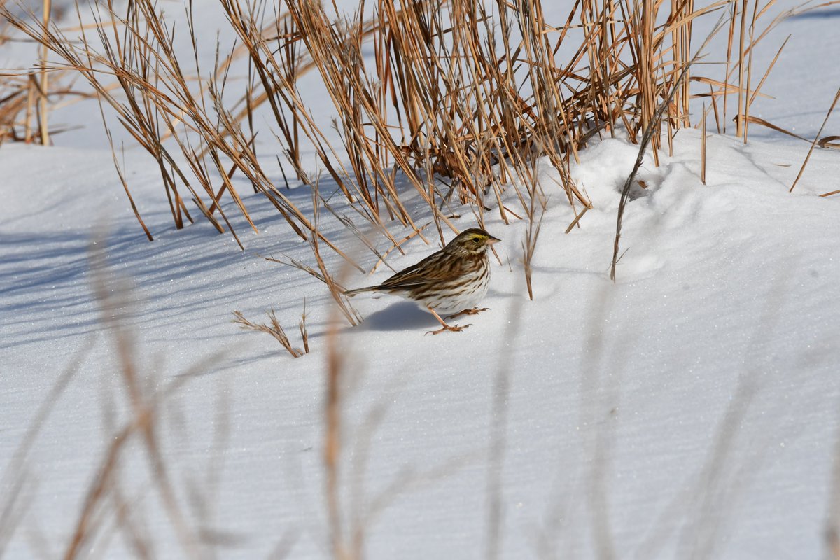 terri needham tweet media