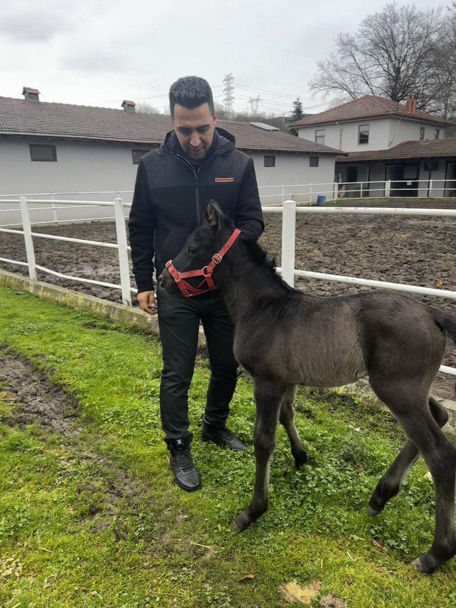 Refik Yiğit tweet media