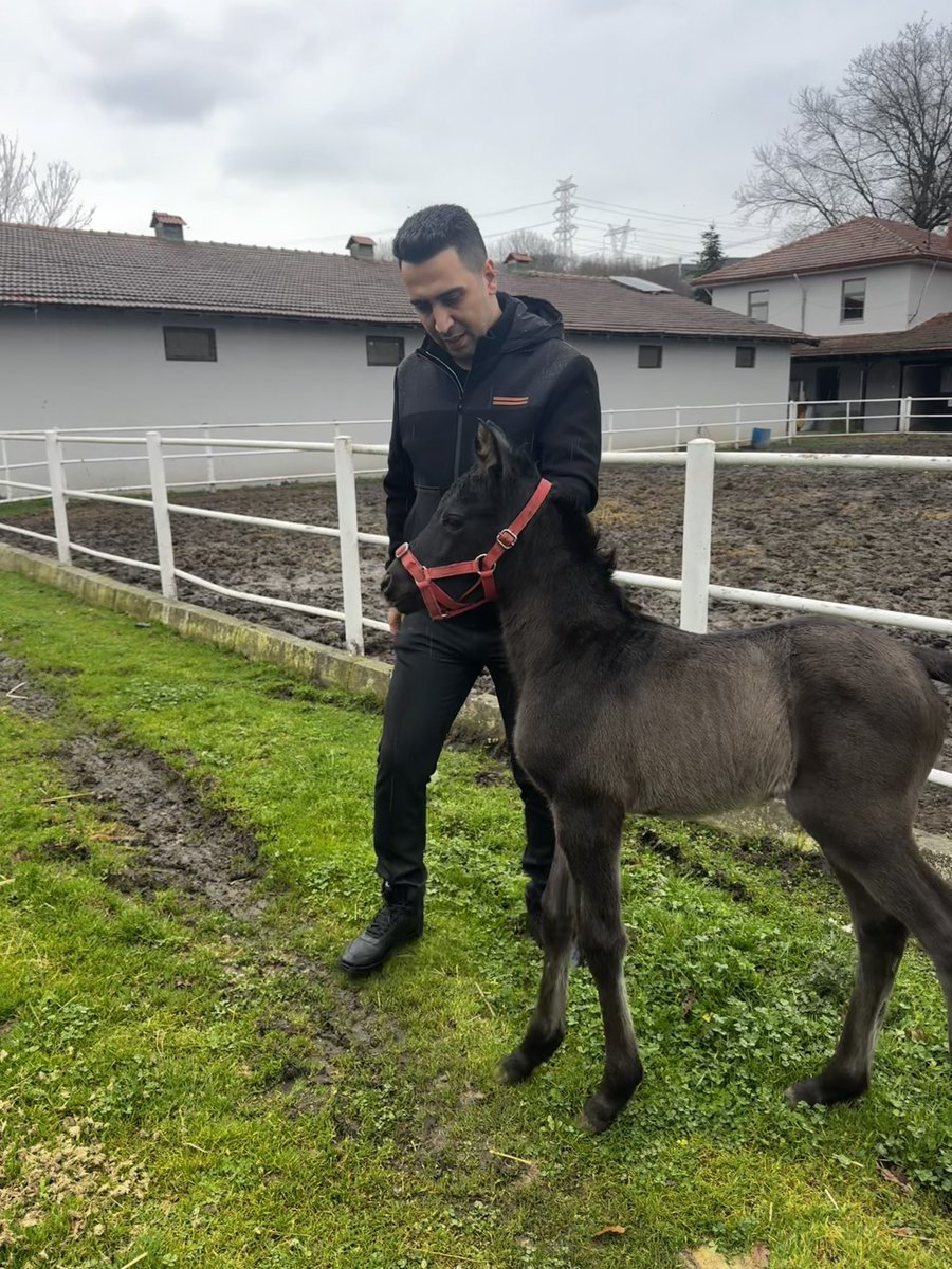 Refik Yiğit tweet media