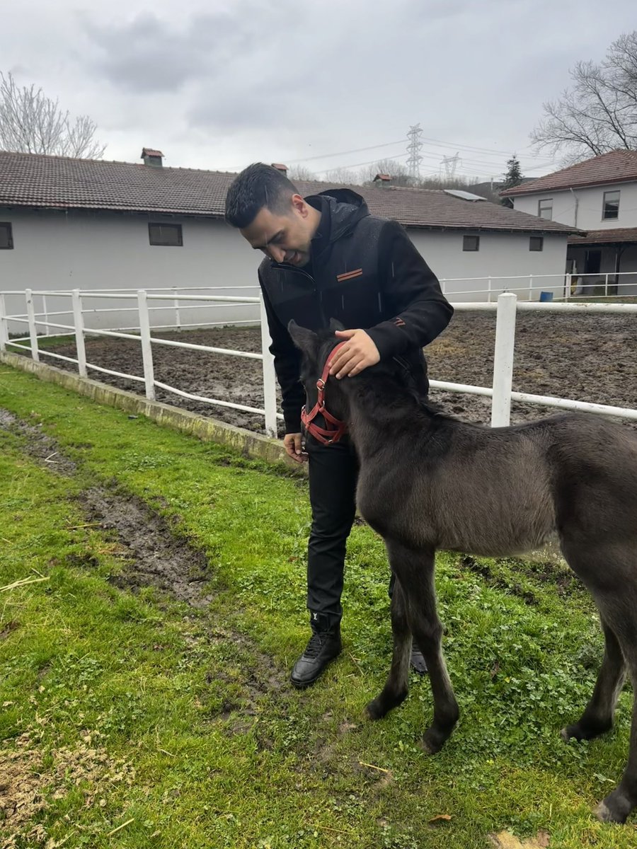 Refik Yiğit tweet media