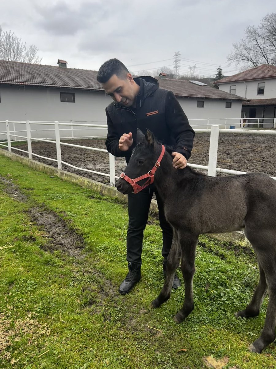 Refik Yiğit tweet media