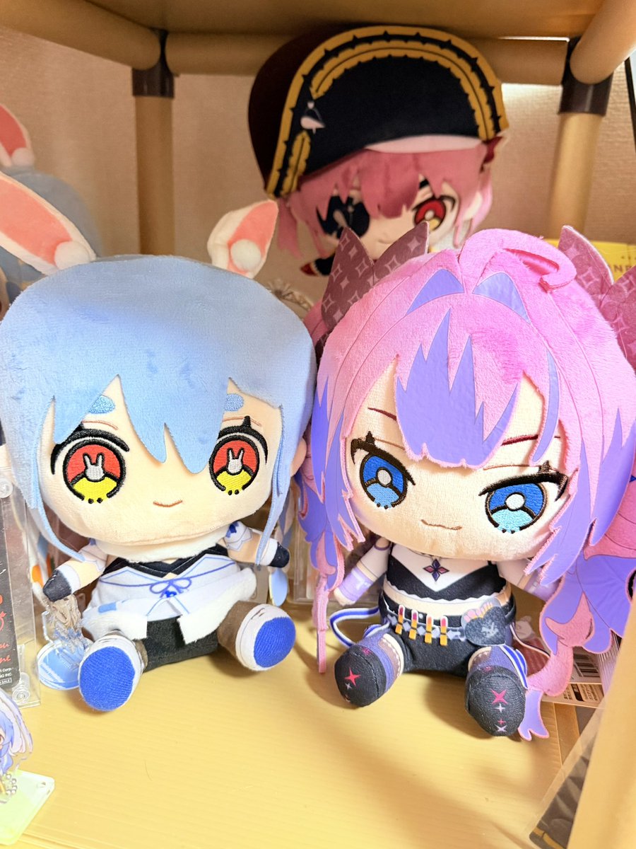 ヴィヴィのぬい、やっと買ってこれたー☺️♡
ぺこヴィヴィ♡かわいー！