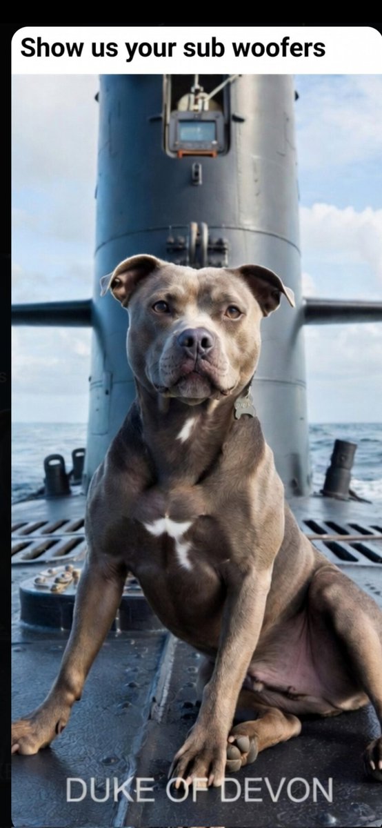 Duke of Devon tweet media