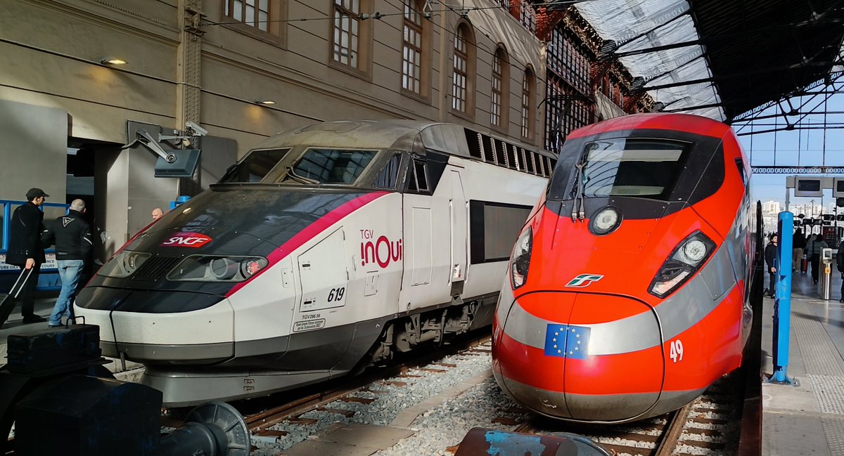 Steph Draperi tweet media