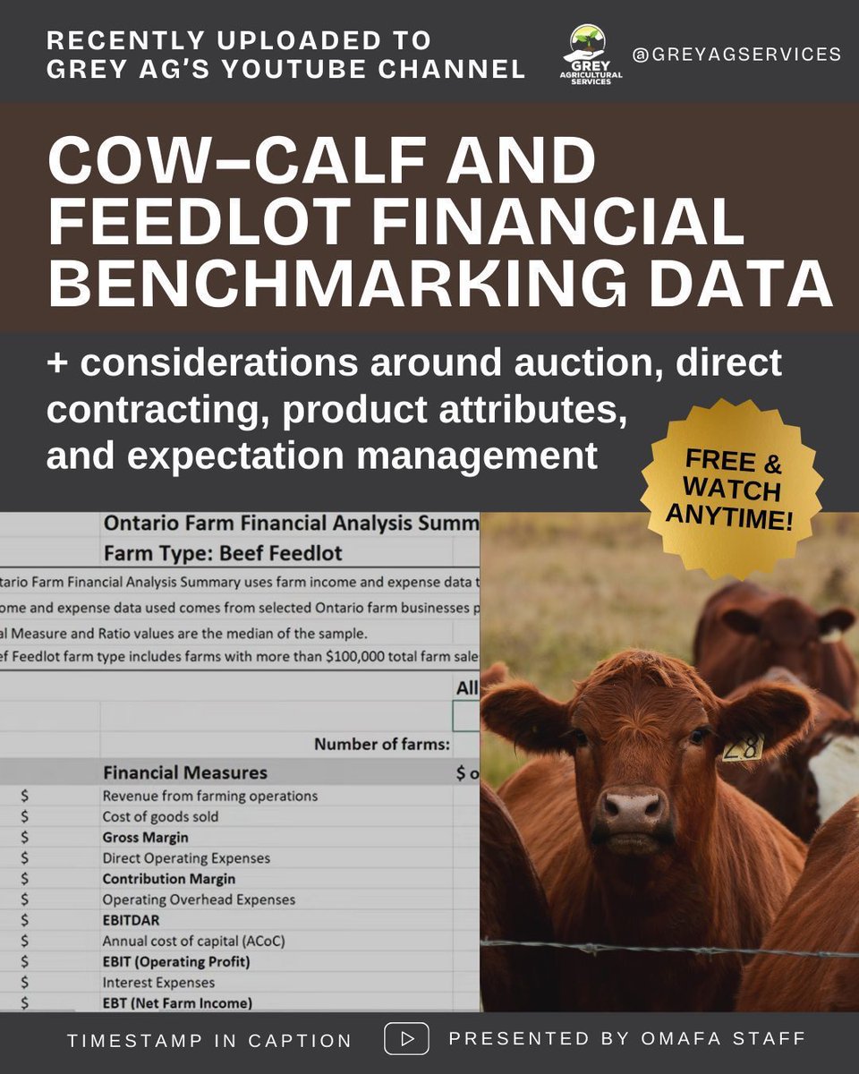 GreyAgServices tweet media