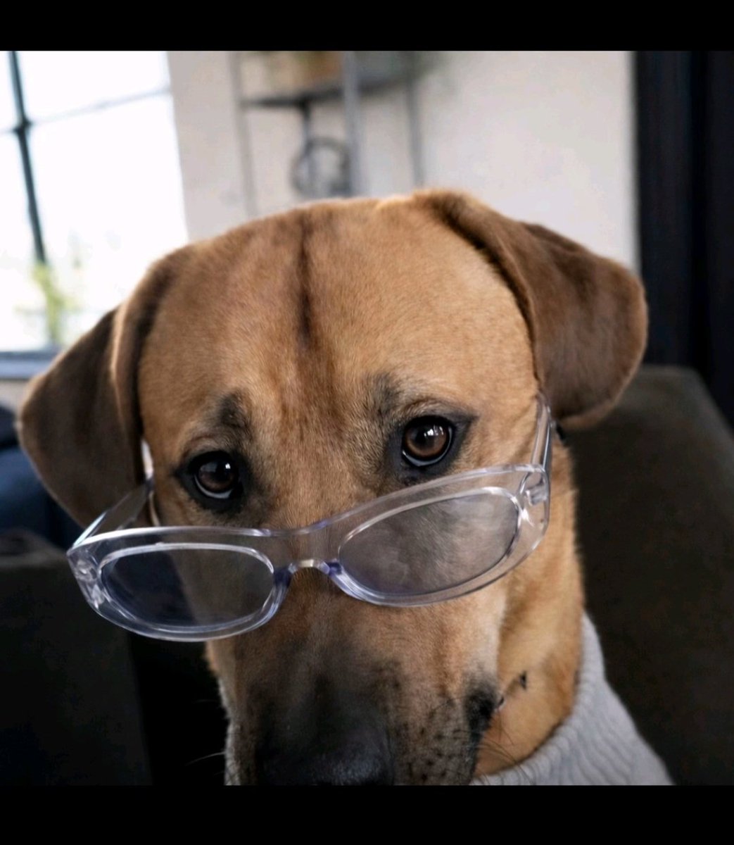 9ja Eyebee tweet media