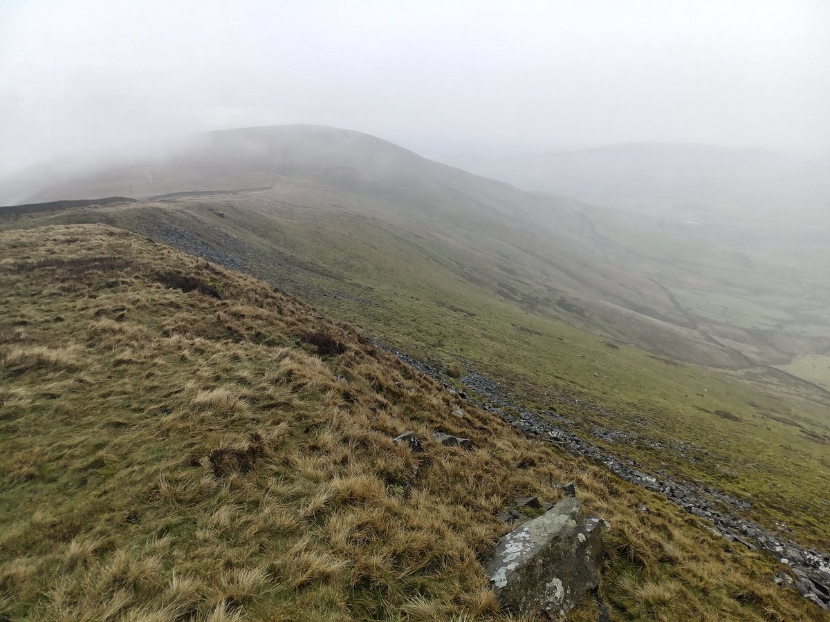 Stuart Parker tweet media