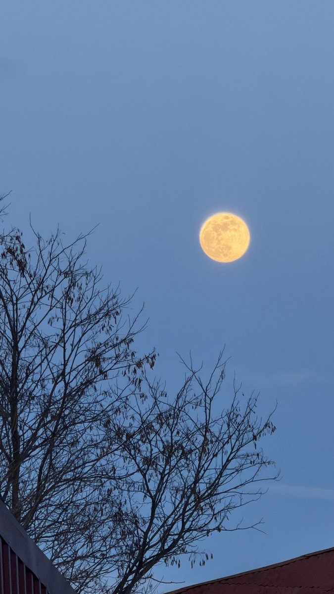 Meh durdı muḳābil saña bulduḳda kemāl
Gördi ki özinde sence yoḫ ḥüsn ü cemāl
Bir ġāyete yėtdi incelüp ġamdan kim
Ẓa'f-ı beden ile bedr iken oldı hilāl

Fuzûlî