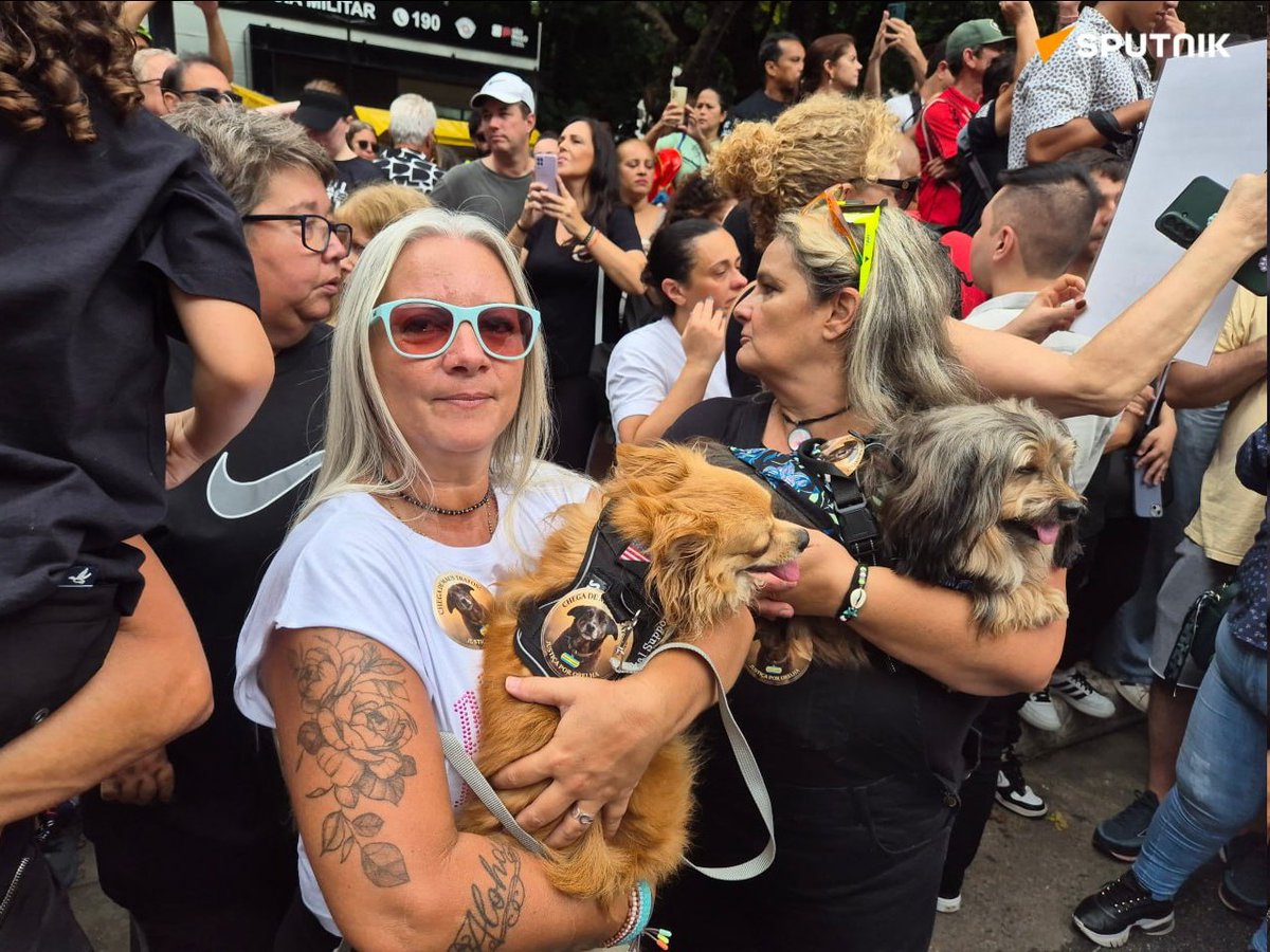 choquei's tweet photo. 🚨BRASIL: Manifestantes protestam Ana Av. Paulista por prisão de agressores do cão Orelha. https://t.co/1eGk9gQj11