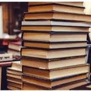 Faz 17 dias que Bolsonaro está preso na Papudinha e não leu nenhum livro. Ao invés de ler para reduzir a pena, pede dosimetria.