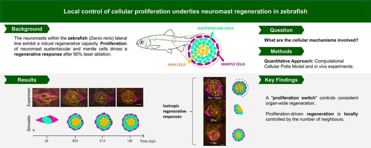 Osvaldo Chara tweet media
