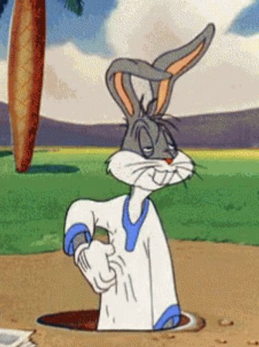 ToonWabbit's tweet photo. “Oh yeah.

I’m gonna be in Fortnite dis month.” https://t.co/5NfipnneA5
