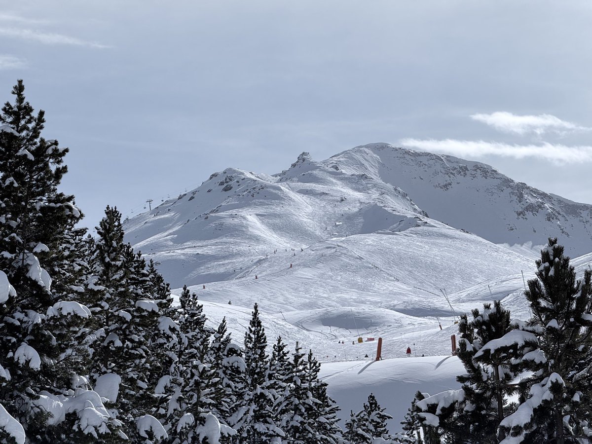 Marcos Liminiana Perruc tweet media