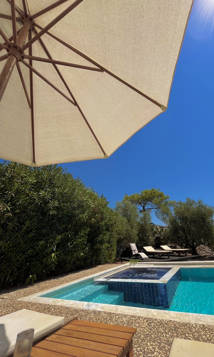 🇹🇷🇩🇿 tweet media