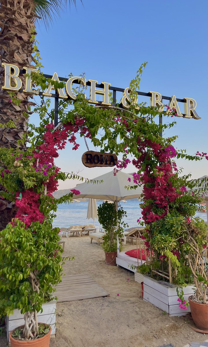 🇹🇷🇩🇿 tweet media