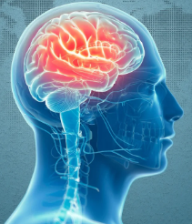 VoiceOfIslamUK's tweet photo. How has the human brain evolved over time?
Tune in to Science Hour now to explore brain structure, mental development & the history of psychiatry.
Listen back: https://t.co/NxZfELDOJz
#PsychiatryHistory #ScienceHour #BrainStructure https://t.co/mktuZxtz64