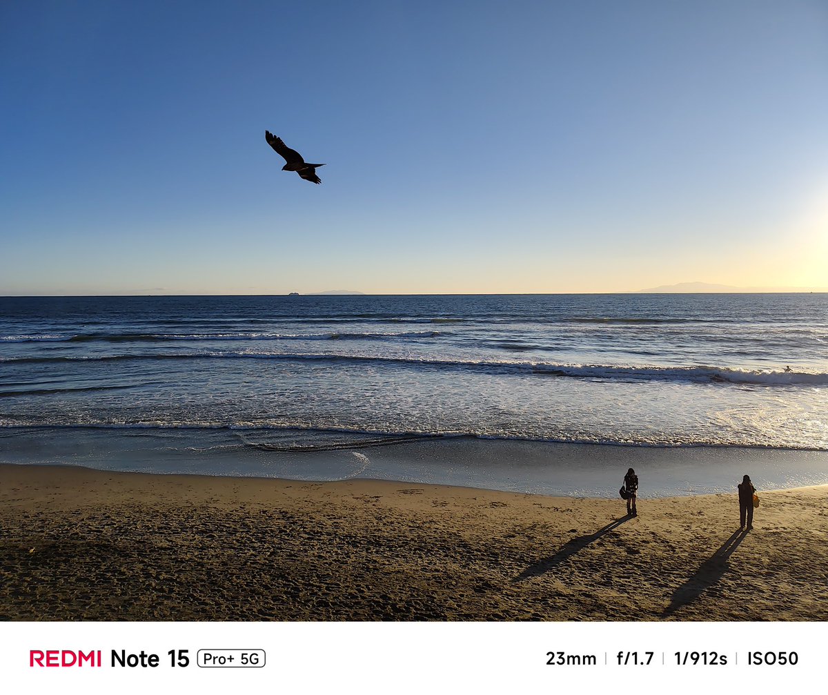 Playfuldroid! tweet media