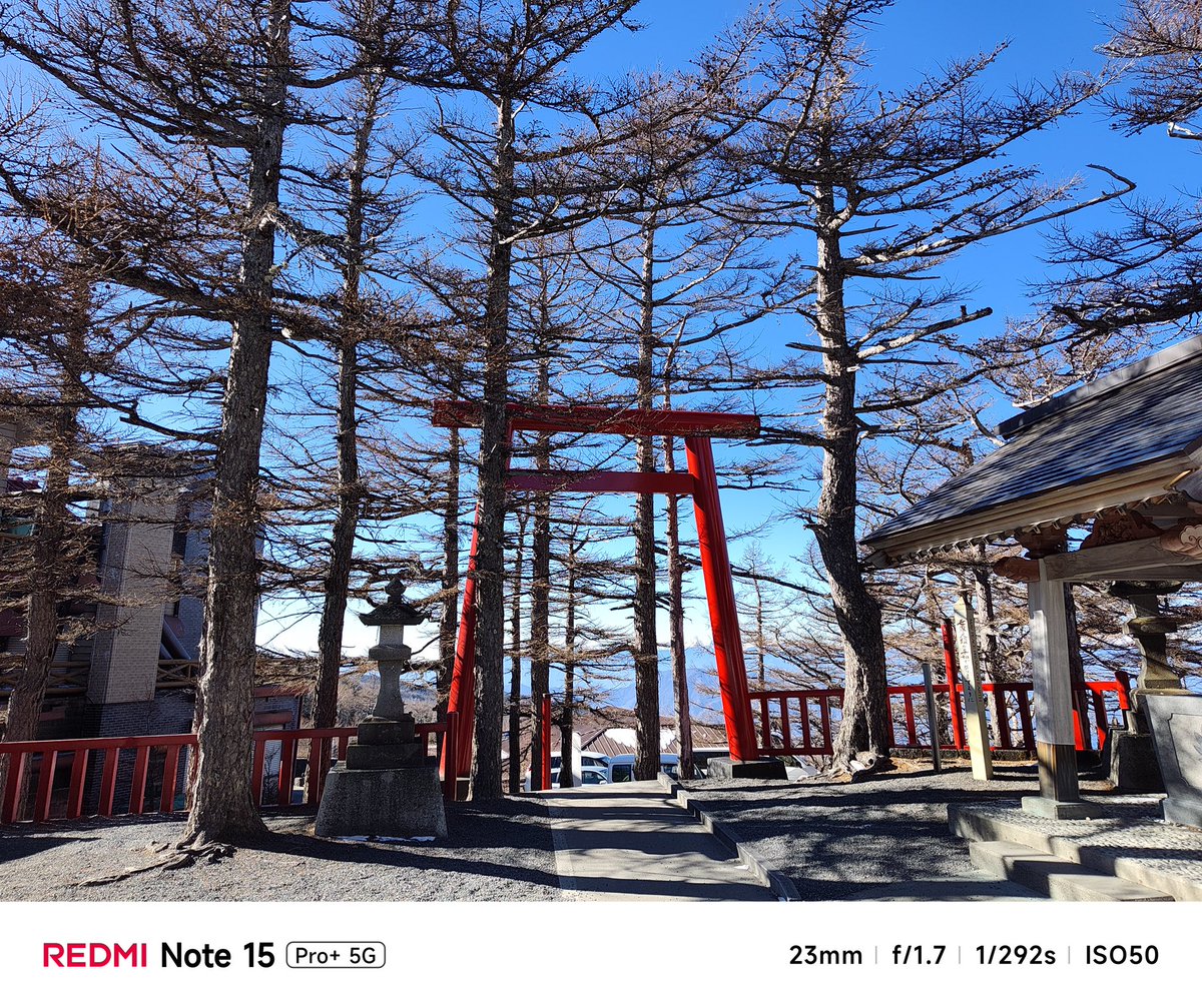 Playfuldroid! tweet media