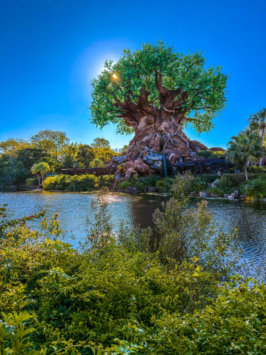 Jason Maultsby tweet media