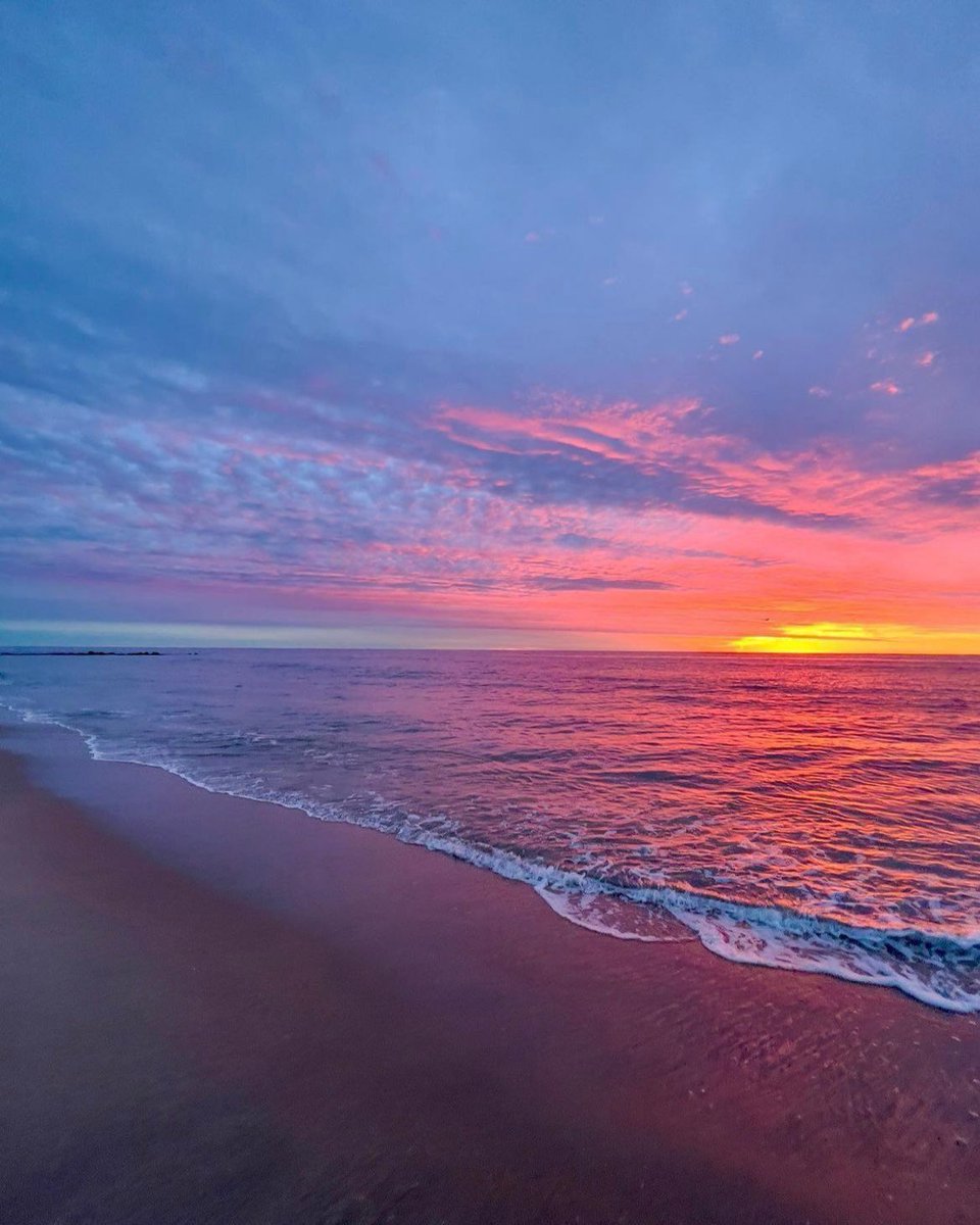 Aesthetics (@aestheticspost_) on Twitter photo 