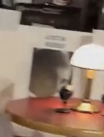 ₊˚❀༉‧₊˚ tweet media