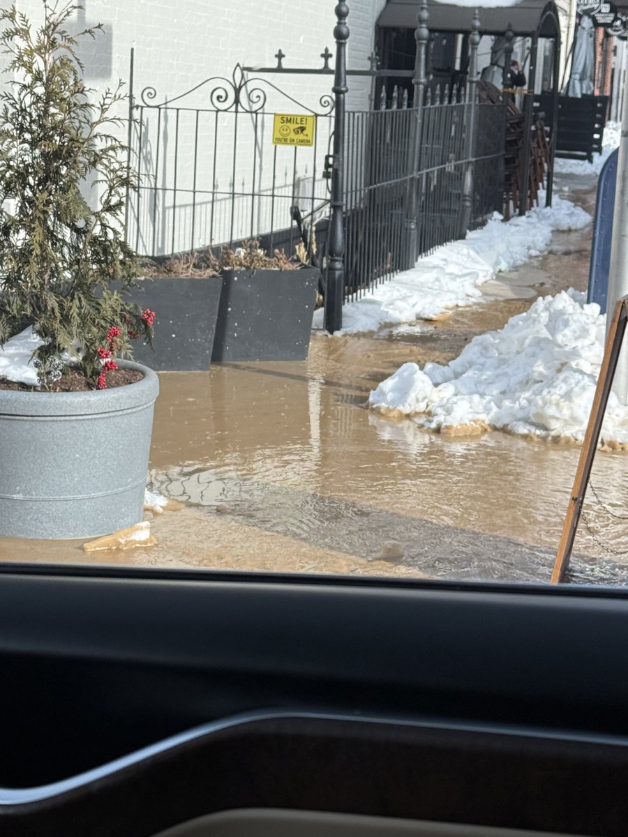 Jennifer Lynn tweet media