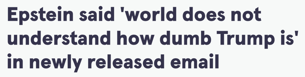 maxlenderman tweet media