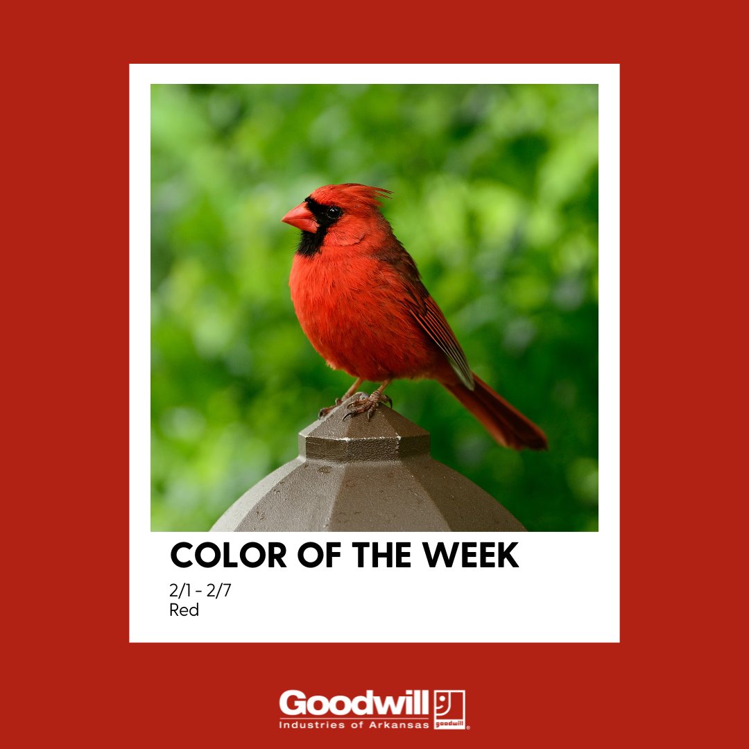 Goodwill Arkansas tweet media