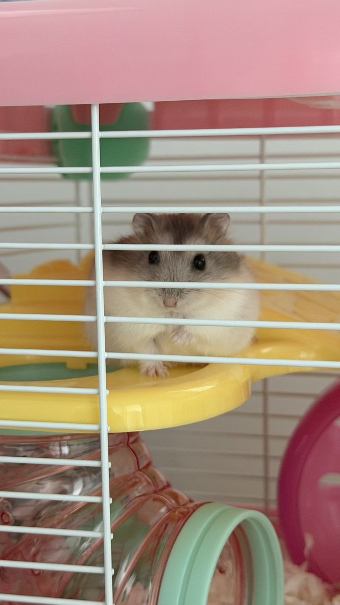 kkjk3707's tweet photo. so cute🥹 https://t.co/rUbLZkMQsy