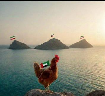 فيصل عبدالعزيز tweet media