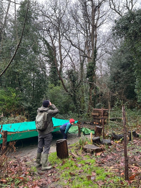 Last week we took part in the RSPB's Big Garden Birdwatch. We were delighted to welcome local wildlife expert Joe Beale. The light rain perhaps reduced the numbers of birds that interacted in the woodlands.  Some species were wren, parakeet, magpie, gold crest, crow and jay.