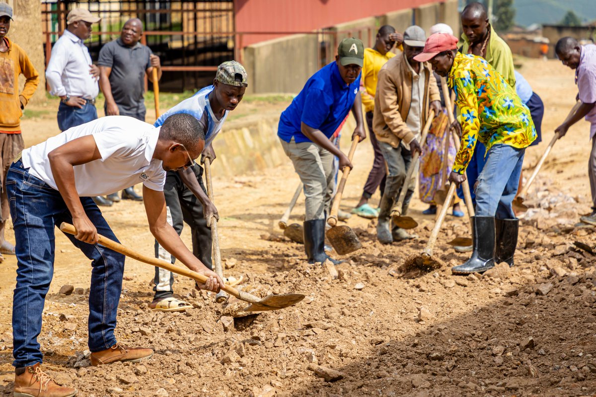 Silverback Tea tweet media