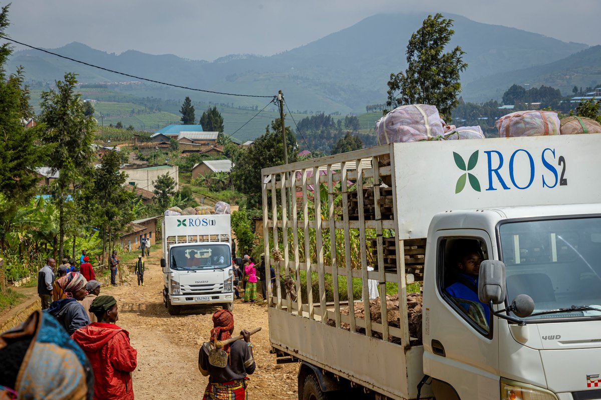 Silverback Tea tweet media