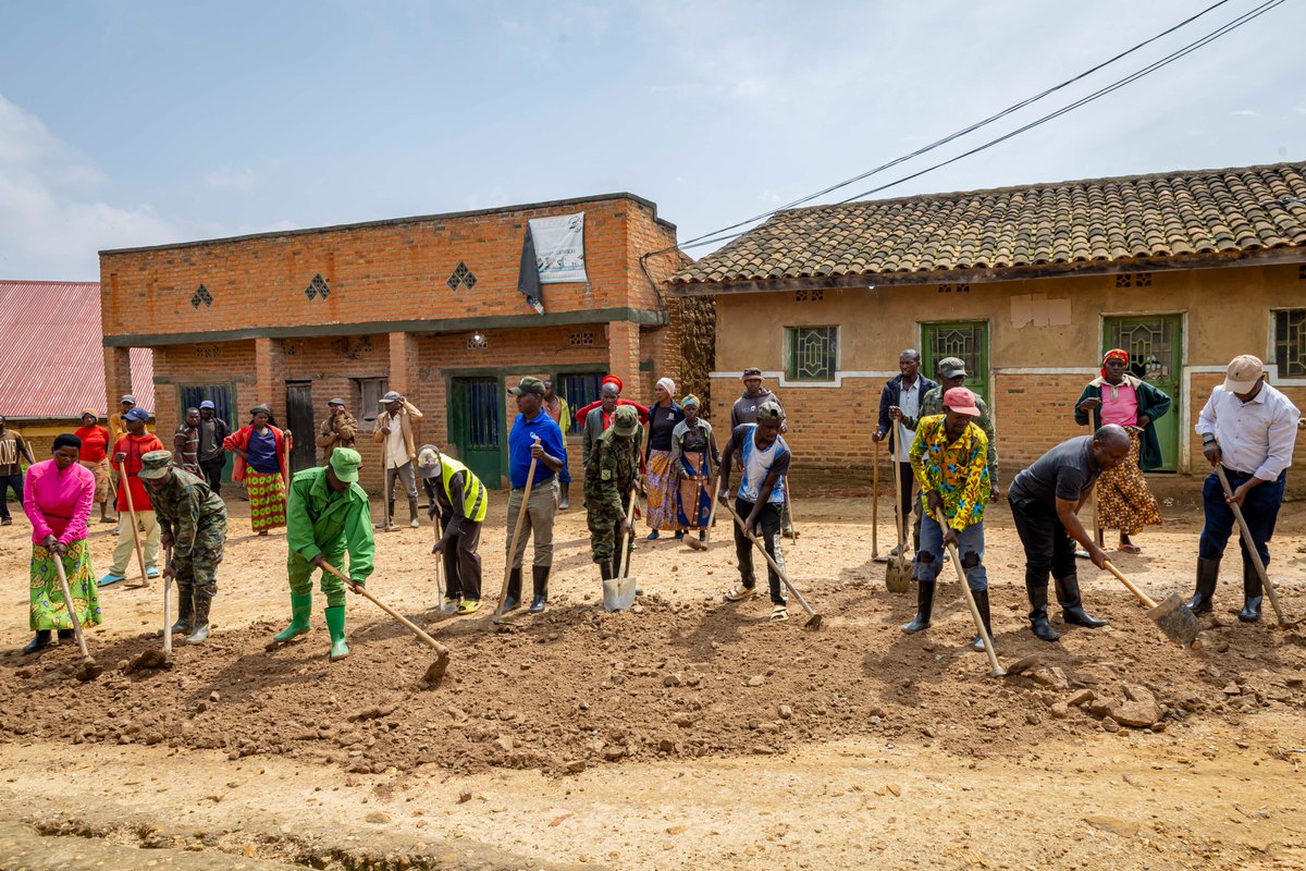 Silverback Tea tweet media