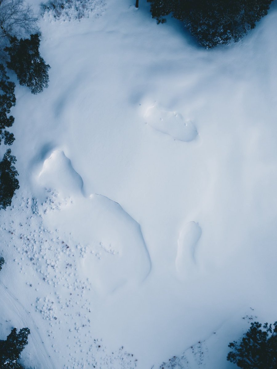 Pinehurst Resort tweet media