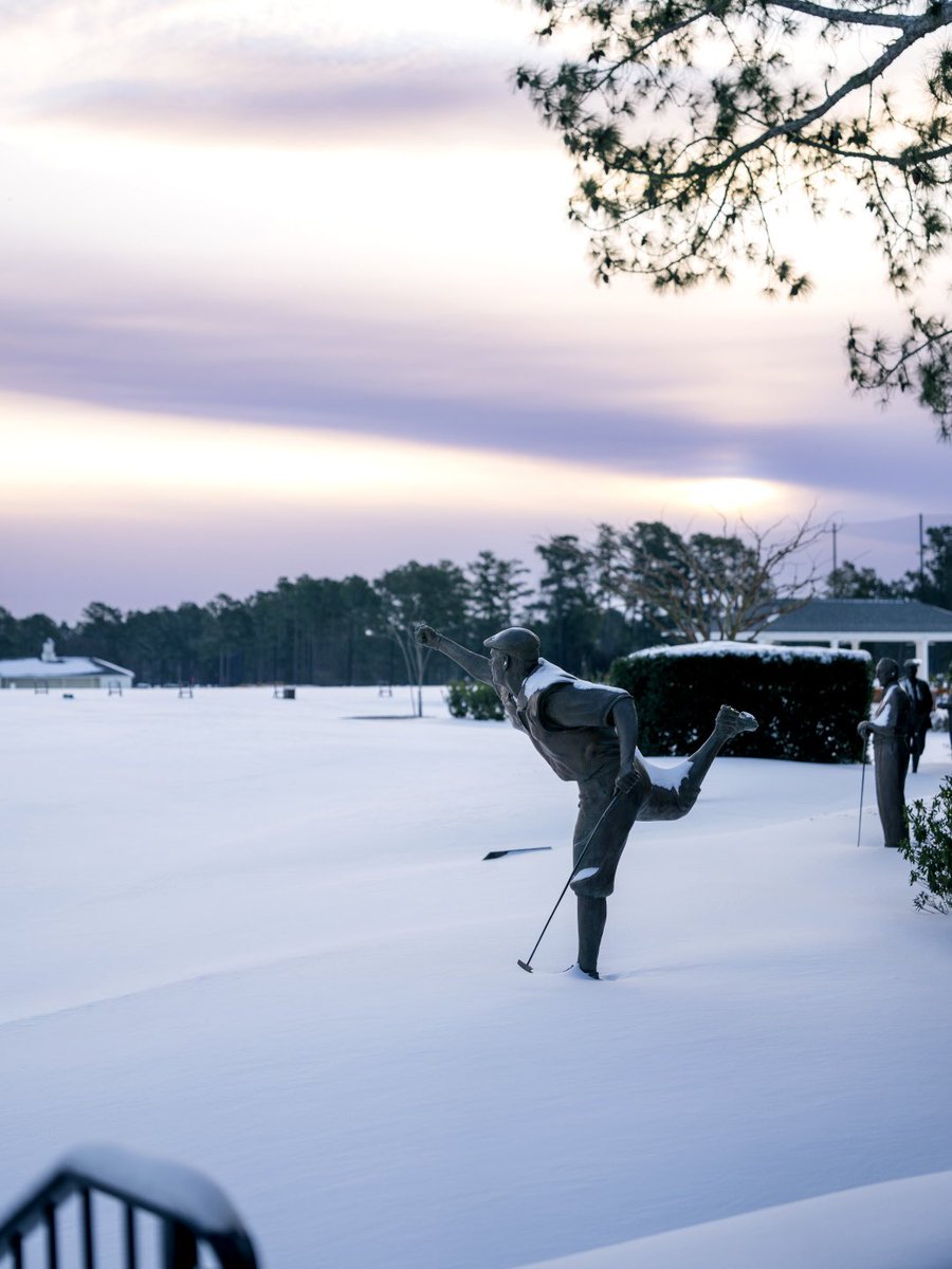Pinehurst Resort tweet media