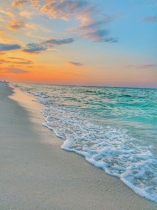 Aesthetics (@aestheticspost_) on Twitter photo 