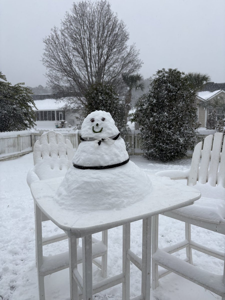 SCarolinaRon's tweet photo. Snow here in Longs, SC https://t.co/nXoYT8c0KU