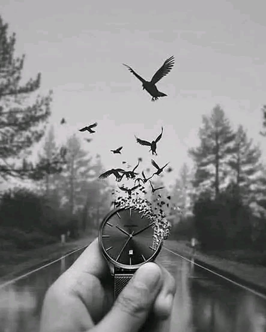 💫أثر💫 tweet media