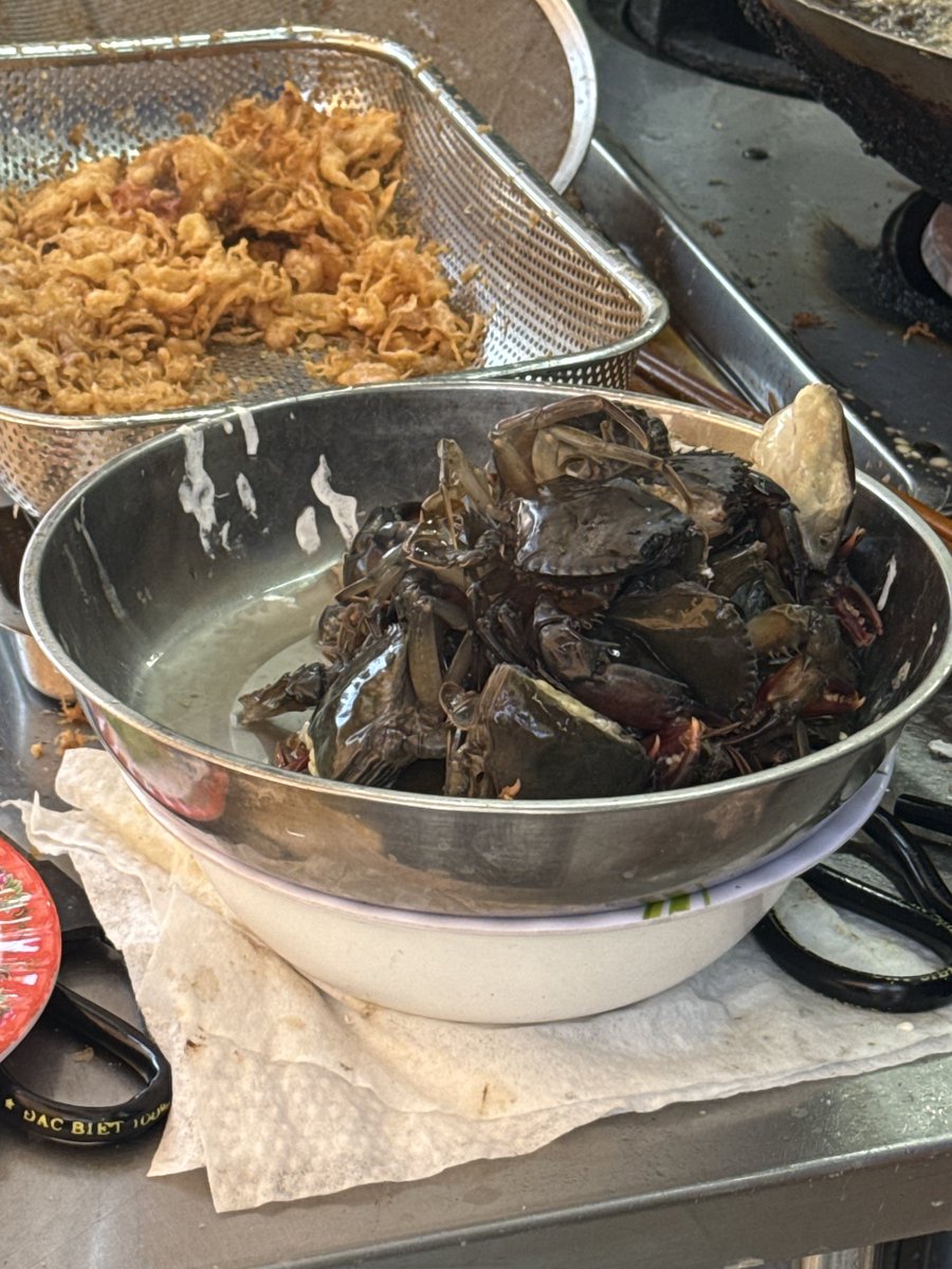 3chanSTY's tweet photo. ホーチミンおすすめのソフトシェルクラブ
Quán Thúy 94
激うま！
#料理前の蟹 https://t.co/1mcPqdmy9T