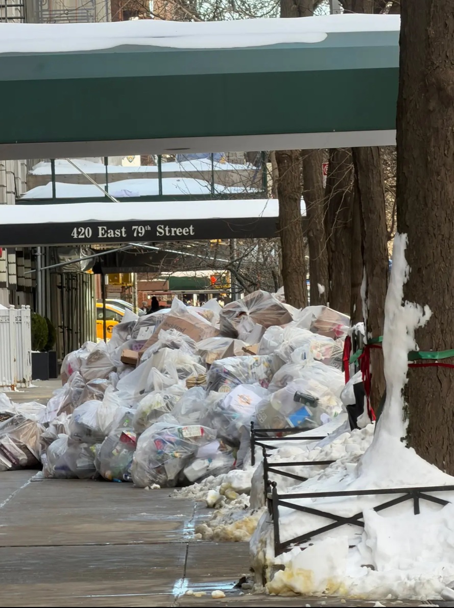 Liddlebigmouth 💙 🤍 💙 tweet media