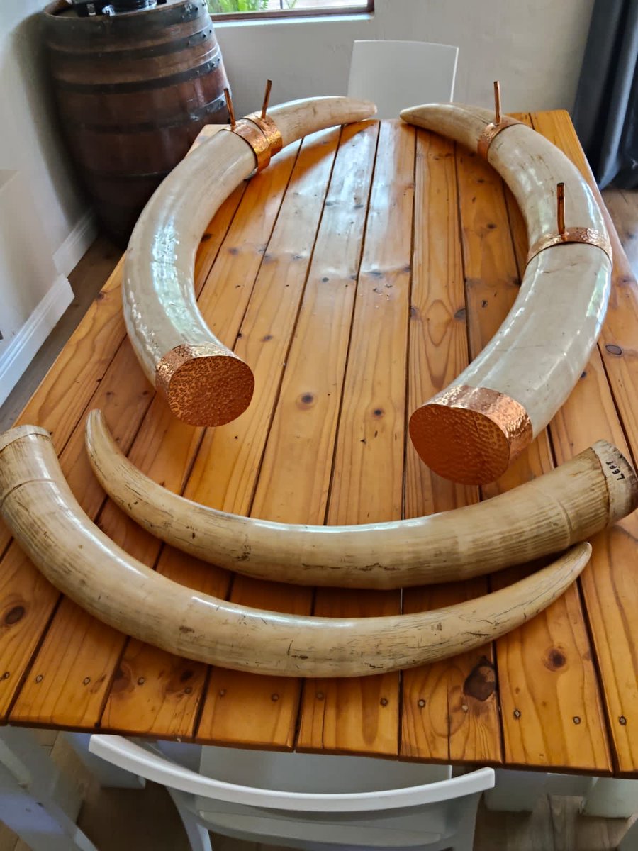 Emmanuel Koro tweet media